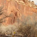 Capital Reef National Park - Utah 